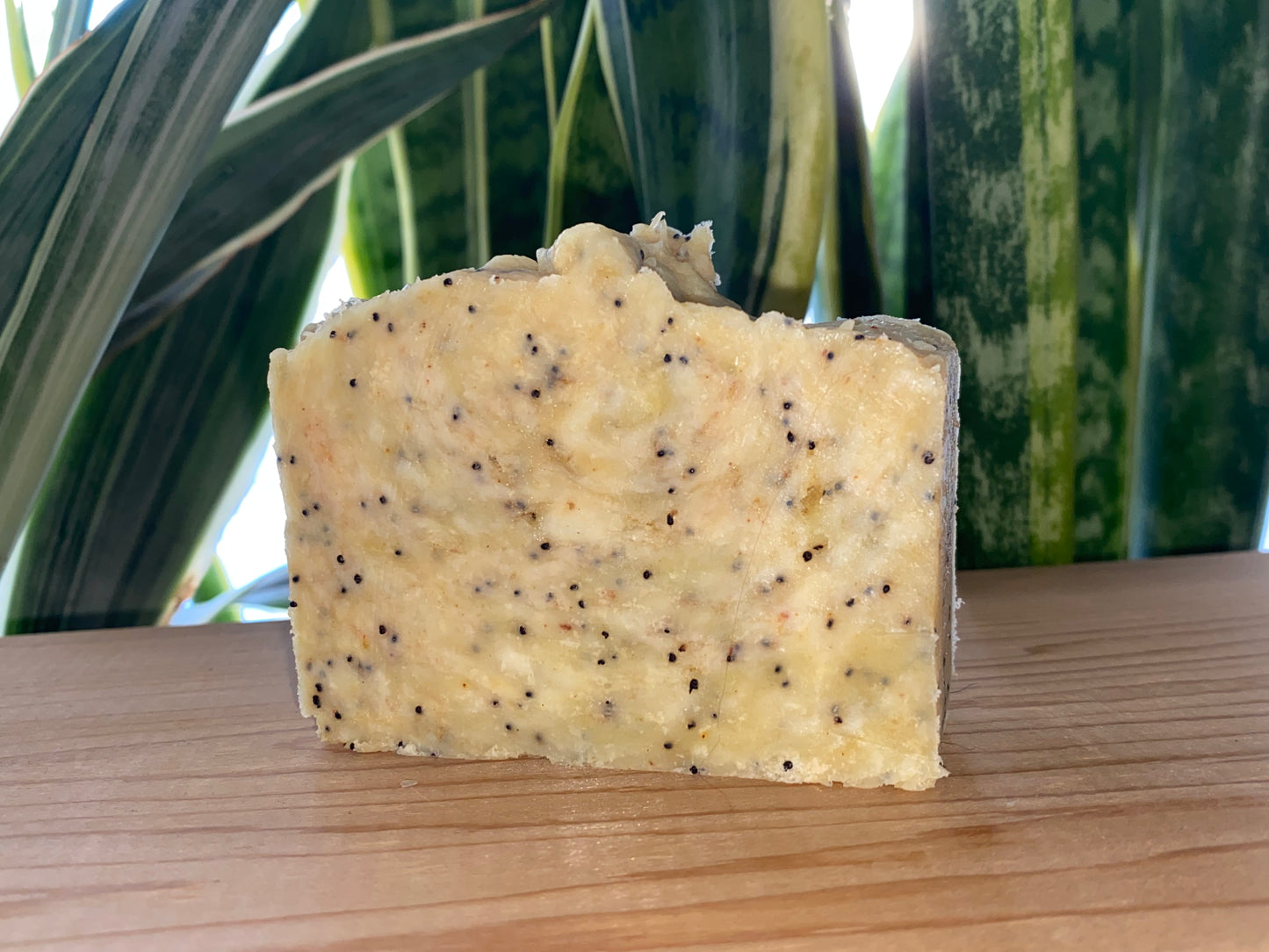 Lemon Poppyseed Bar Soap
