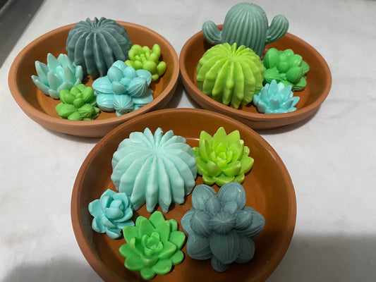 Succulent shea butter soap trays